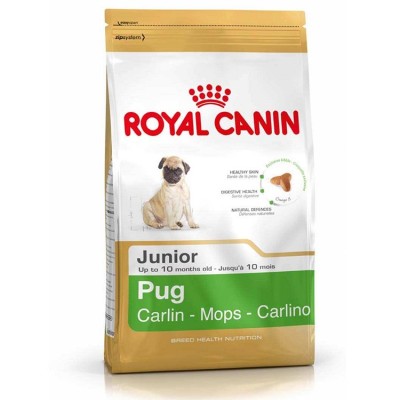 Royal Canin Pug Junior (500gm)